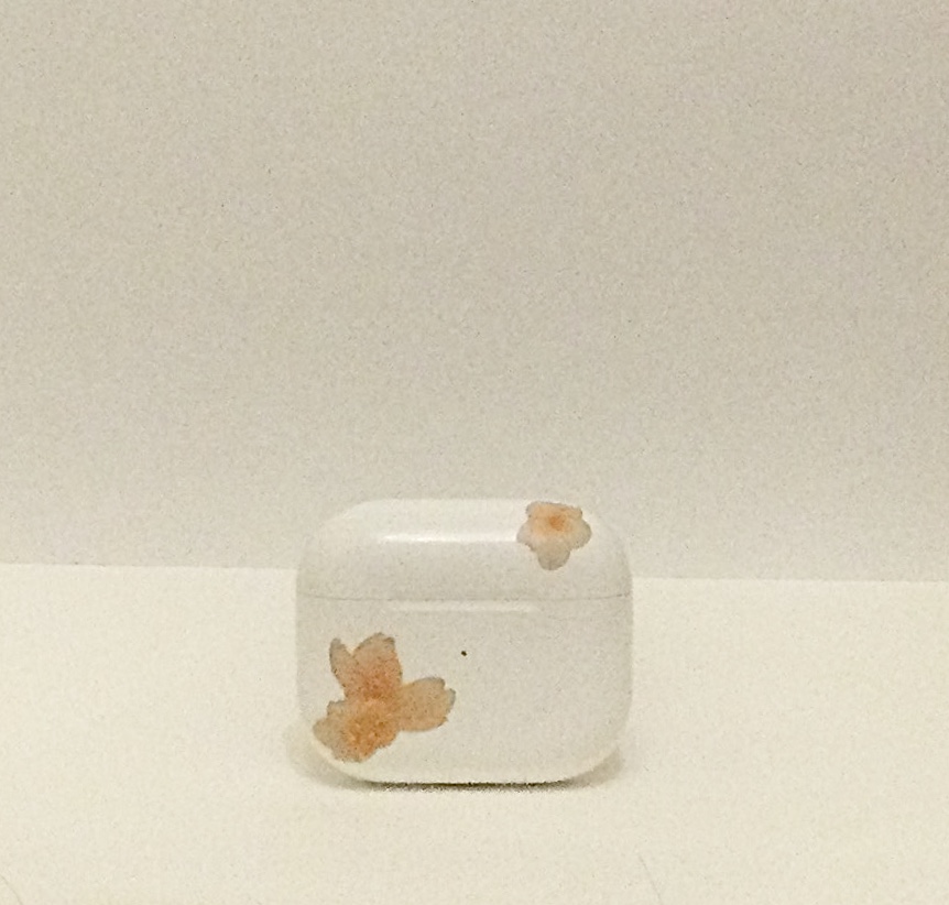 Photograph of an airpod case, angle 1