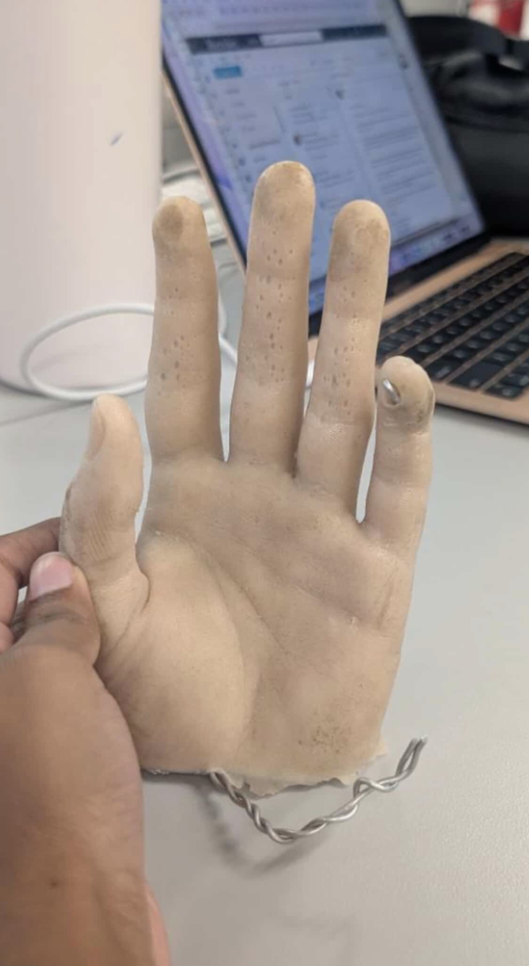 Hand model <br> Material: molded hand, likely made out of silicone or latex. inside ther model there is a metal wire armature for stability and support. <br> material state: semi-solid, elastic, soft but firm, and some flexibility. <br> Material plasticity: compressible and able to be molded under pressure, might return back to original shape. surface mimics realistic hand. <br> Material use: used for prototyping, anatomical studies, prothetics, industrial designs, or used for display purposes.